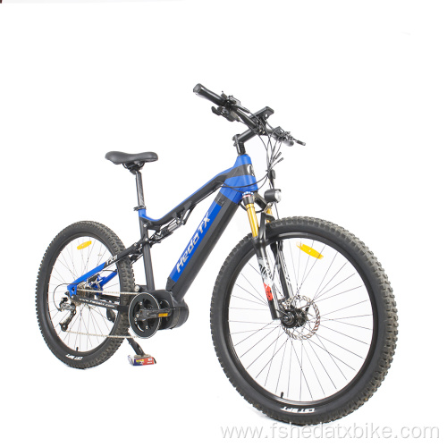 Mountain Electric Bike with Wide Tires